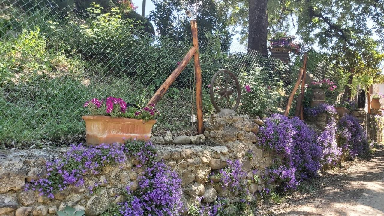 La Limonaia Country House مونتيريجيوني المظهر الخارجي الصورة
